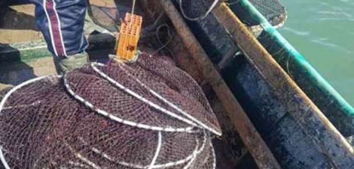 Αμφιλοχία: Επαγγελματίες αλιείς ψάρευαν με απαγορευμένα εργαλεία